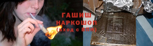 прущие грибы Елизово
