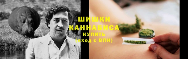 ешки Ельня