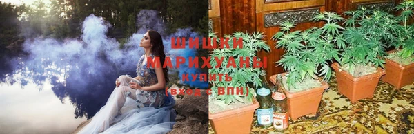 mdma Пересвет