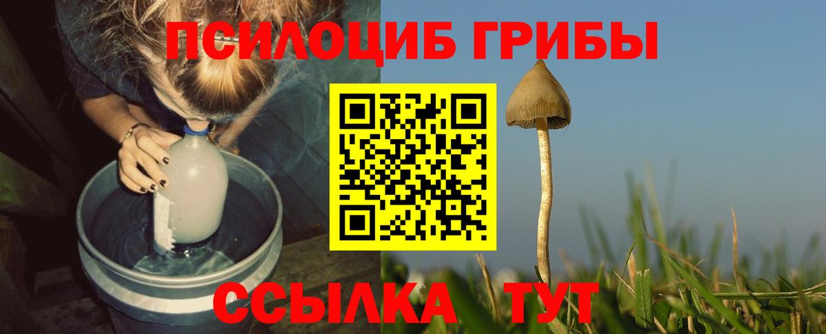 Псилоцибиновые грибы GOLDEN TEACHER Сердобск